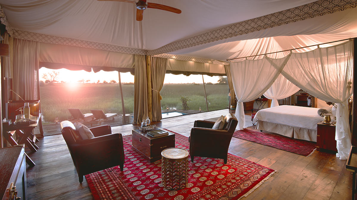 Duba Plains Camp safari • Luxury Botswana Guided Safaris® LuxurySafariCamps.com