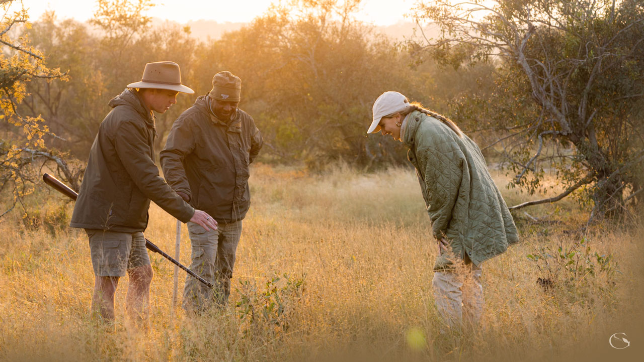 Tailormade Journey — The Royal Safari