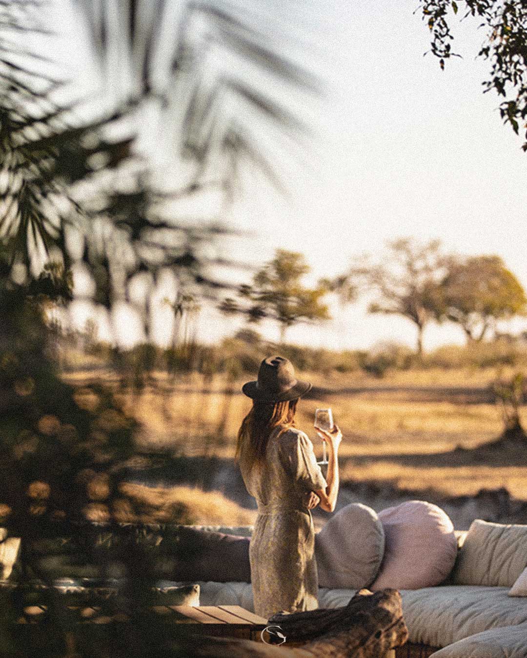Guided Safaris® Private Jet Safari