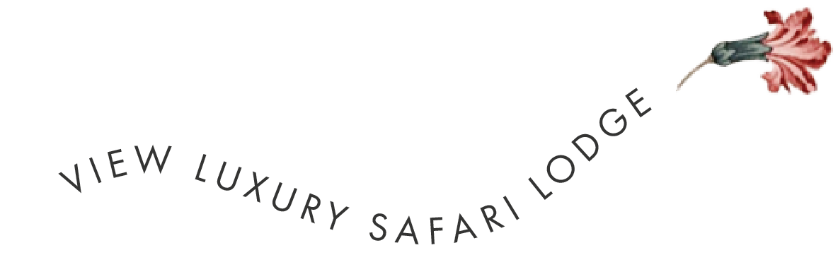 VIEW LUXURY SAFARI LODGE