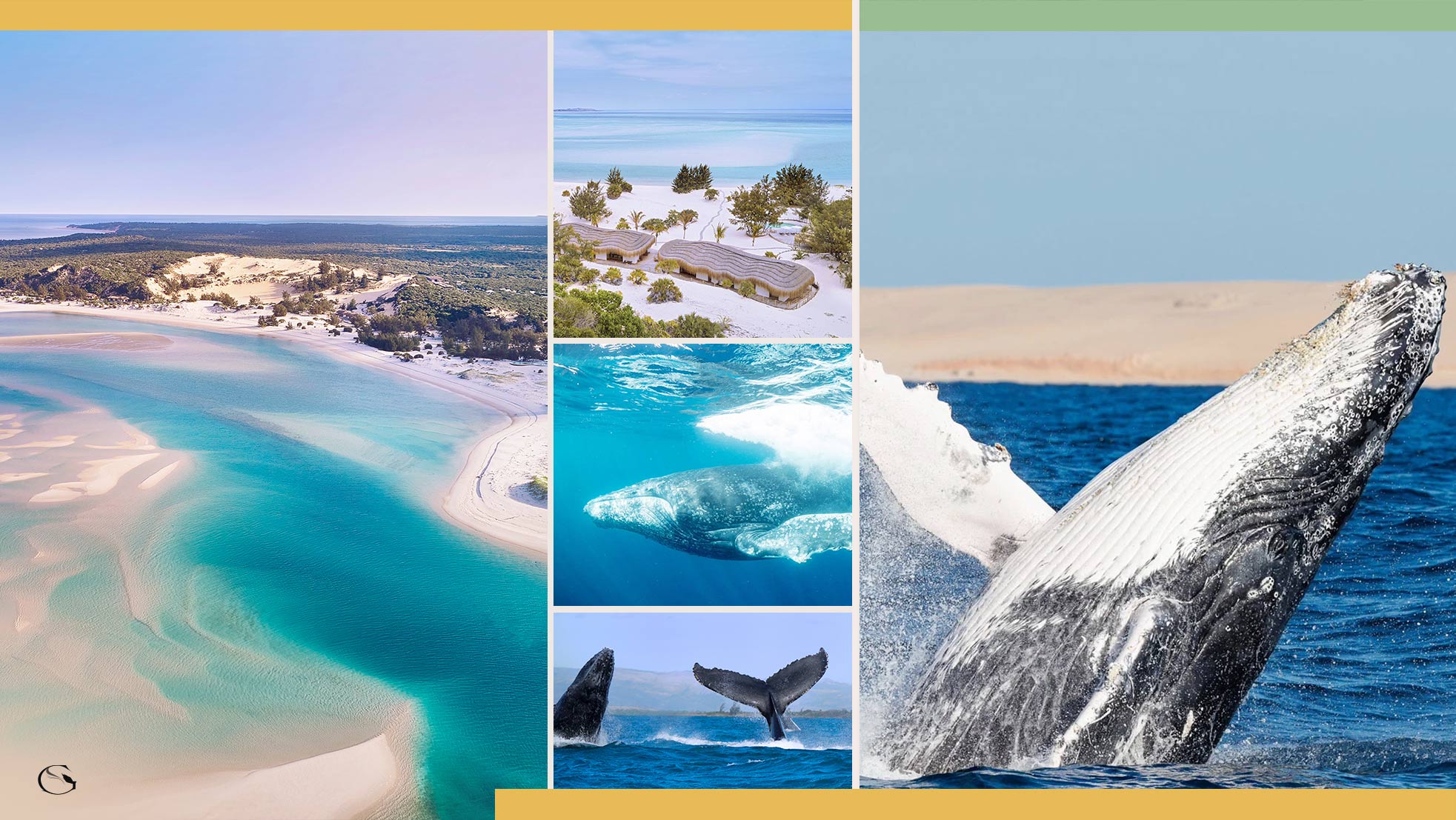 Diving in Africa • Whale Safari - Guided Safaris® LuxurySafariCamps.com