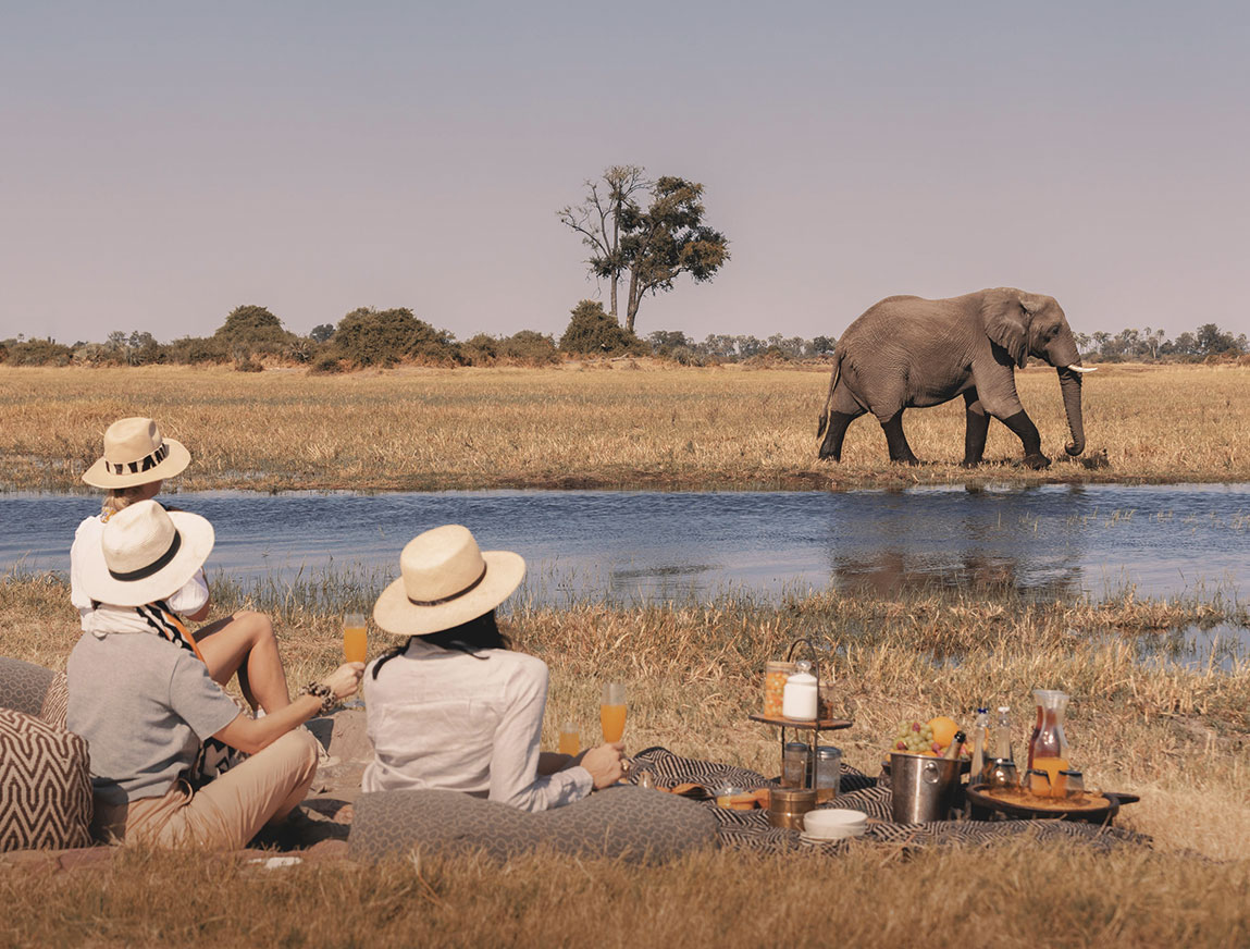 Little Mombo Camp LuxurySafariCamps.com