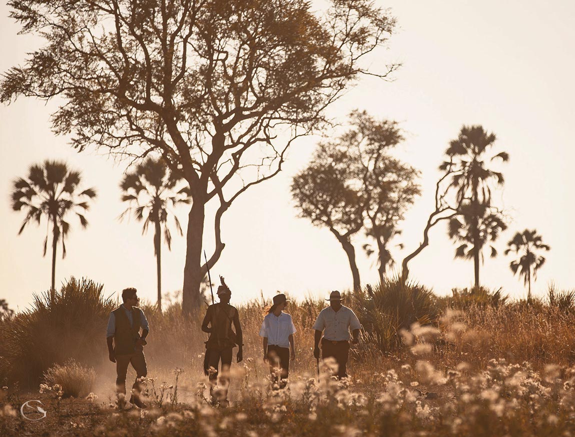 A Day on Safari — Desert + Delta Botswana
