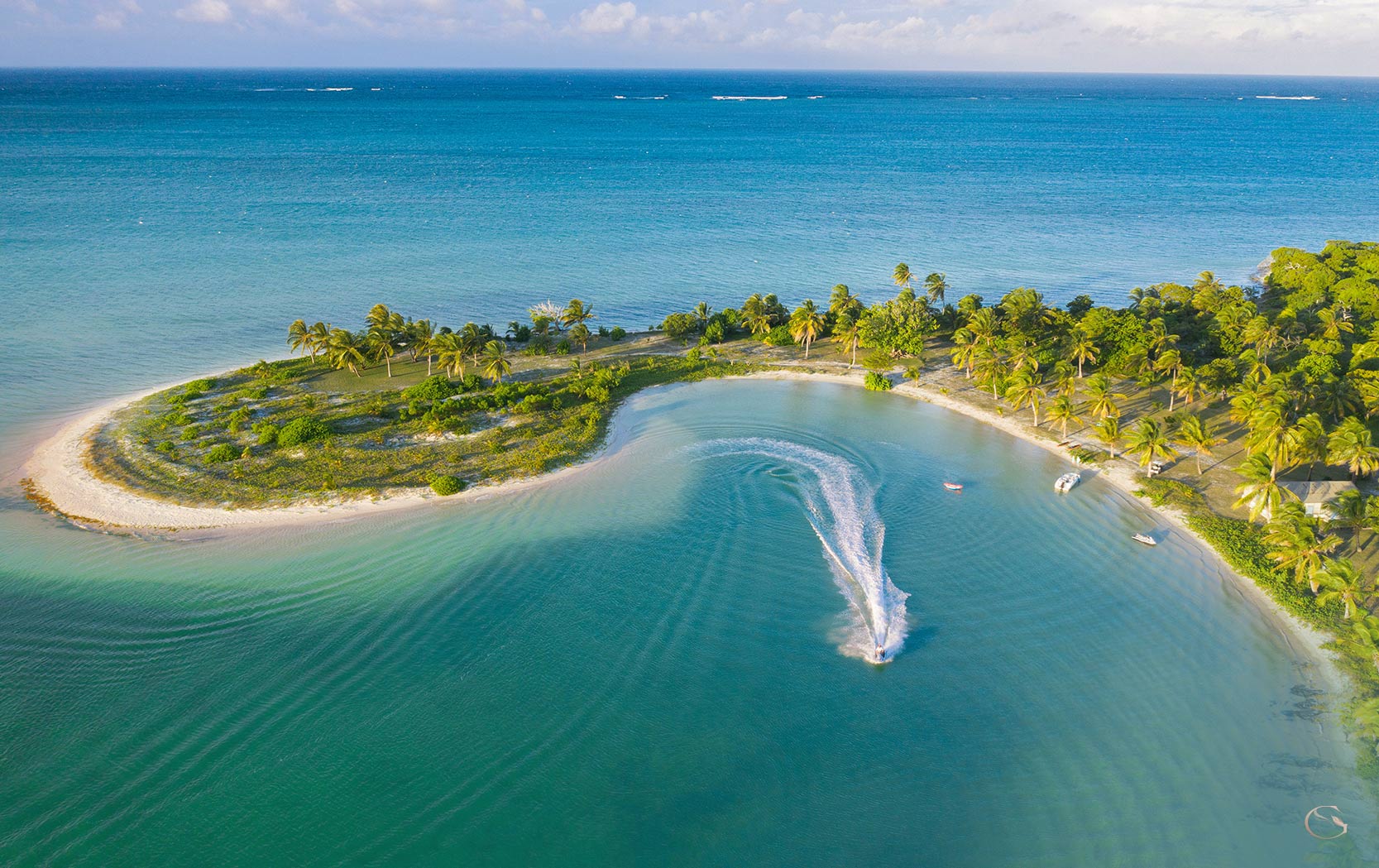 Diving in Africa • Marine Safari - Guided Safaris® LuxurySafariCamps.com