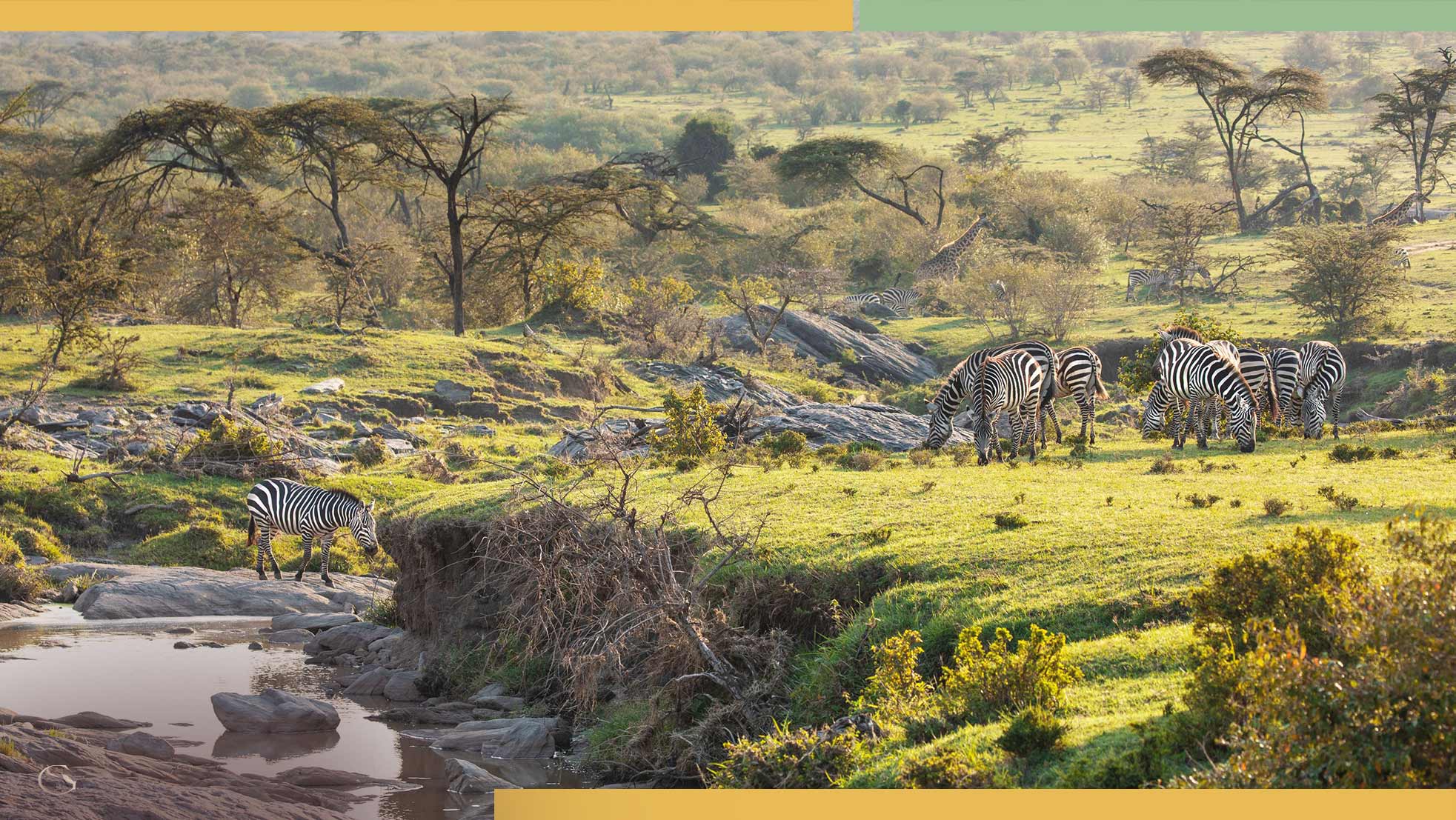 Mara Toto Tree Camp LuxurySafariCamps.com
