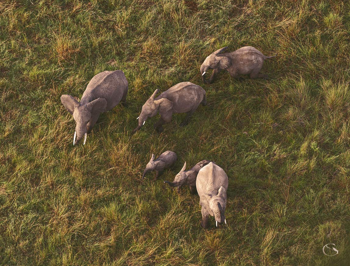 Hot Air Balloon Safari - Guided Safaris® LuxurySafariCamps.com