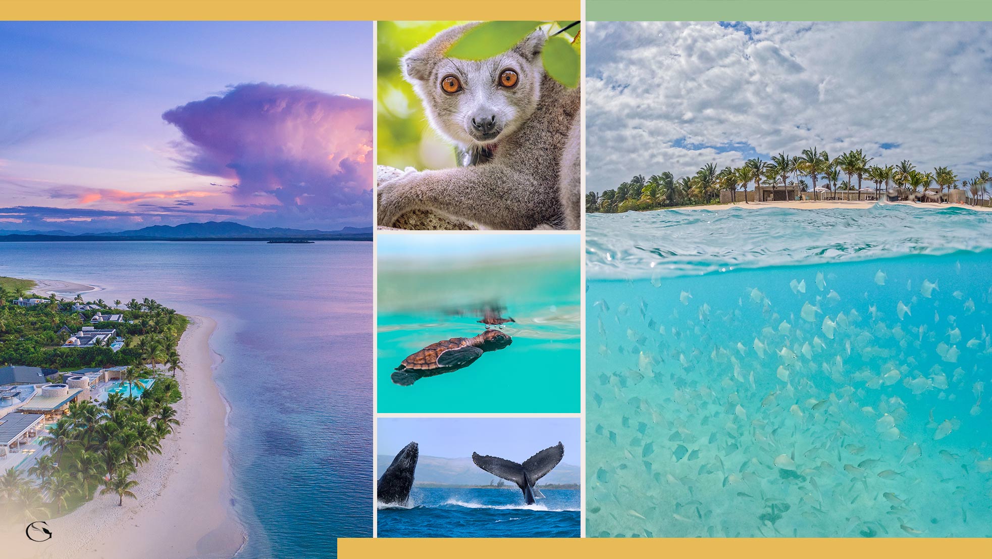 Diving in Africa • Madagascar Private Island - Guided Safaris® LuxurySafariCamps.com