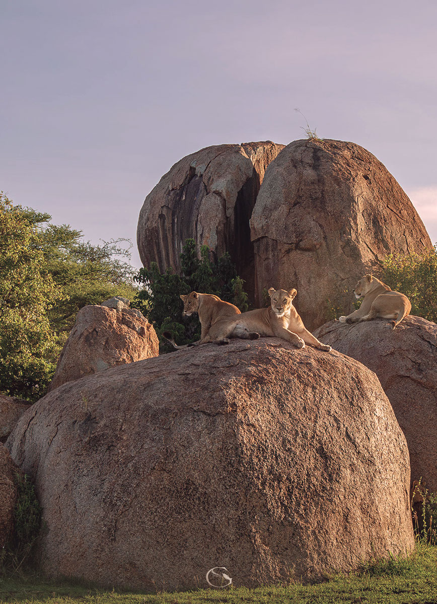 Wilderness Usawa Serengeti Luxury Mobile Camp LuxurySafariCamps.com