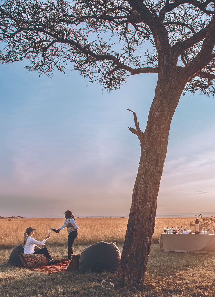 A Day on Safari — Private Gorilla Safari