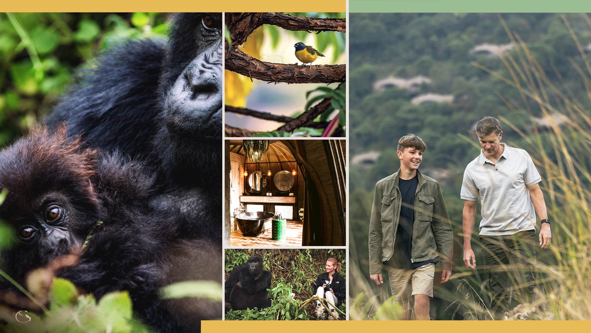 Private Gorilla Safari - Guided Safaris® LuxurySafariCamps.com
