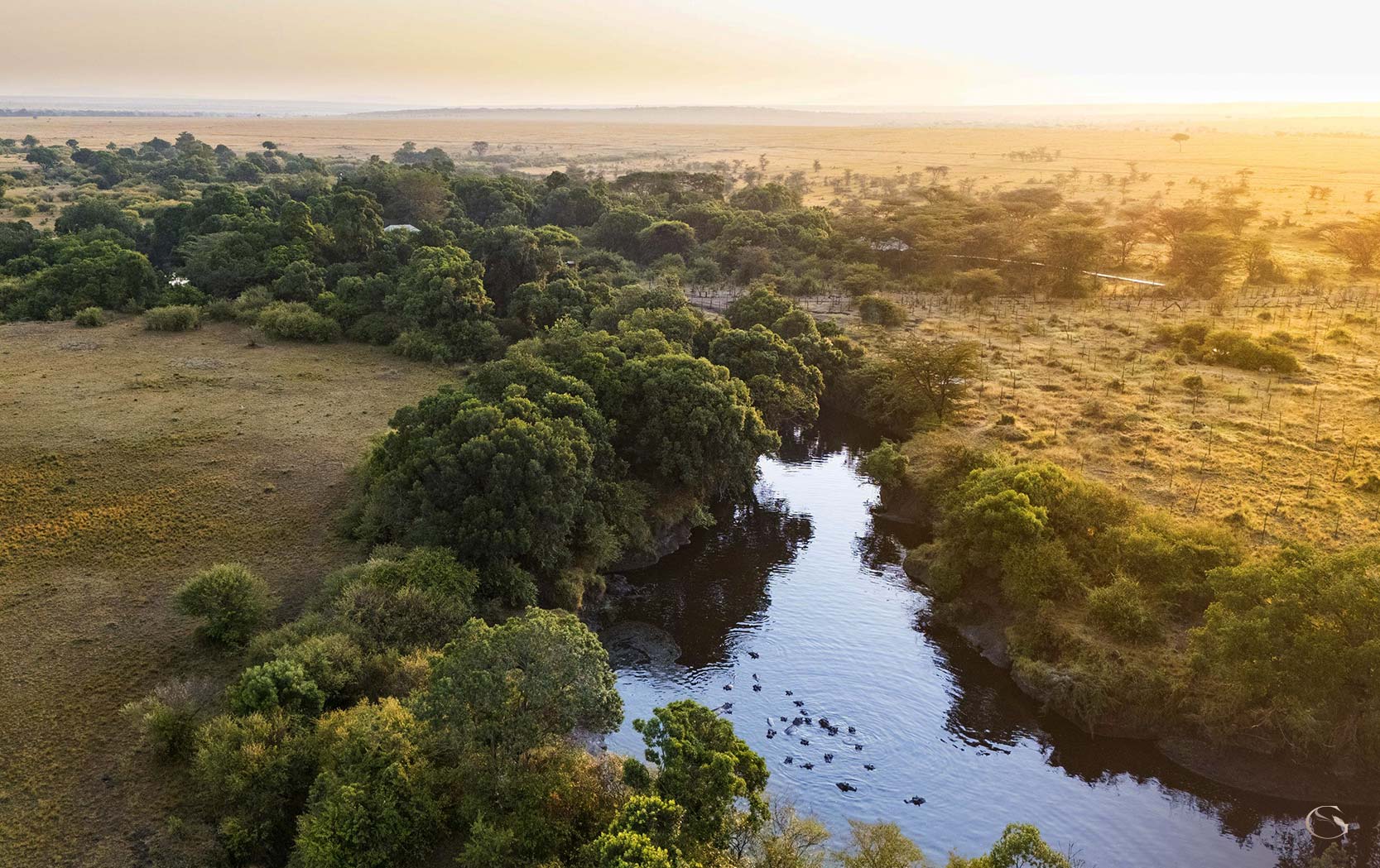 Mara Toto Tree Camp LuxurySafariCamps.com