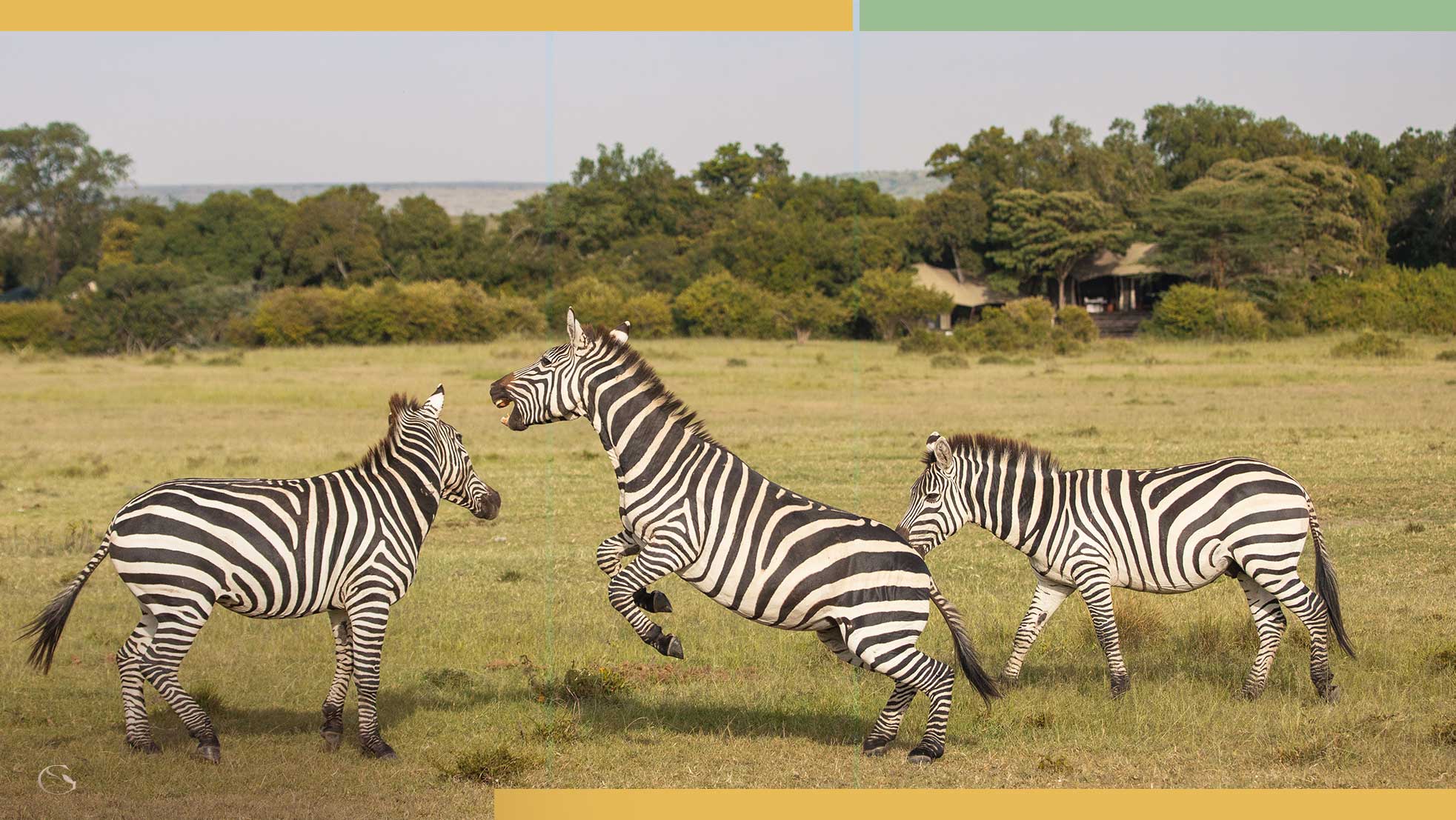 Mara Plains Camp LuxurySafariCamps.com