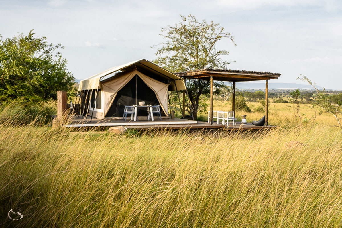 Singita Mara River Tented Camp in Lamai LuxurySafariCamps.com
