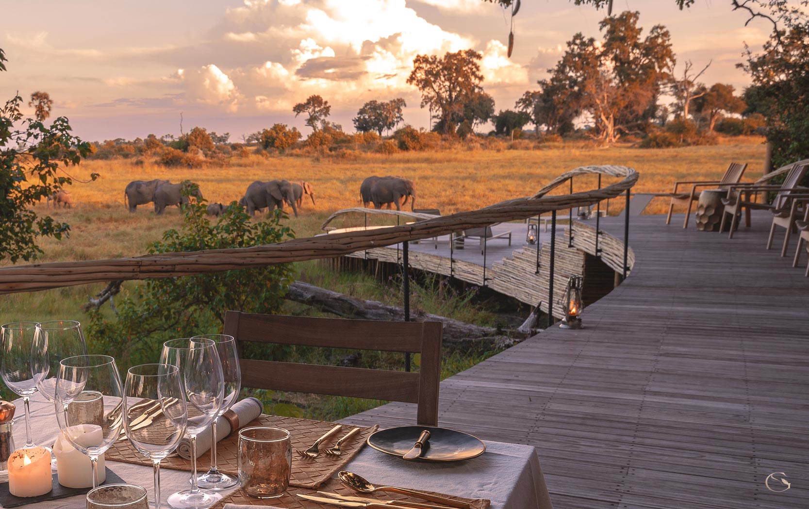 Safari Cuisine — Desert + Delta Botswana