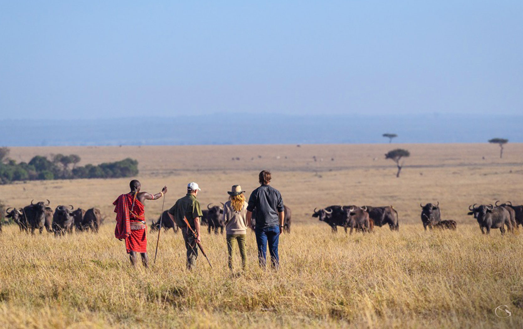 Private Gorilla Safari - Guided Safaris® LuxurySafariCamps.com