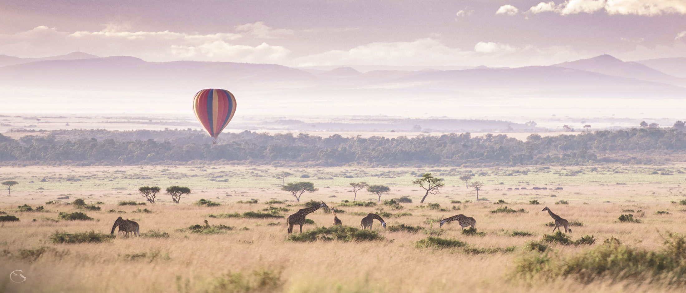 Private Masai Mara Safari - Guided Safaris® LuxurySafariCamps.com