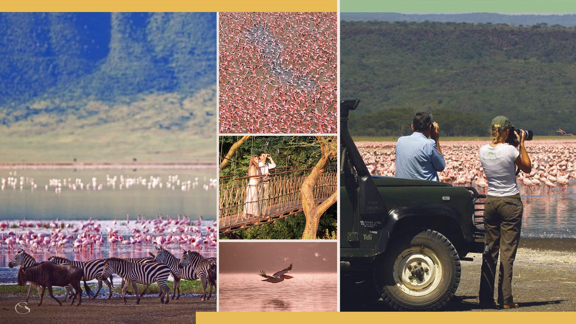 Birding in Africa • Birding Safari - Guided Safaris® LuxurySafariCamps.com