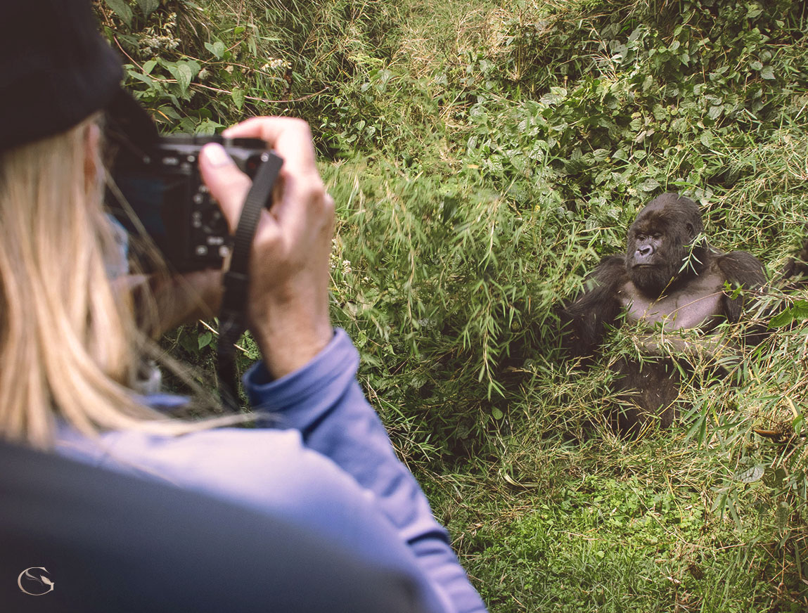 A Day on Safari — Private Gorilla Safari