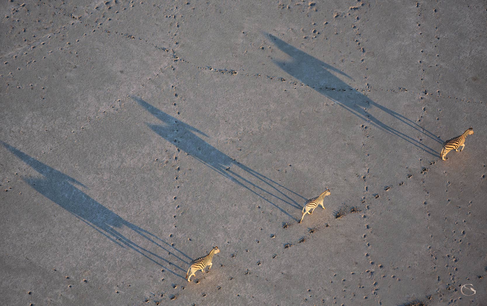 Jack’s Private Camp, Botswana • LuxurySafariCamps.com