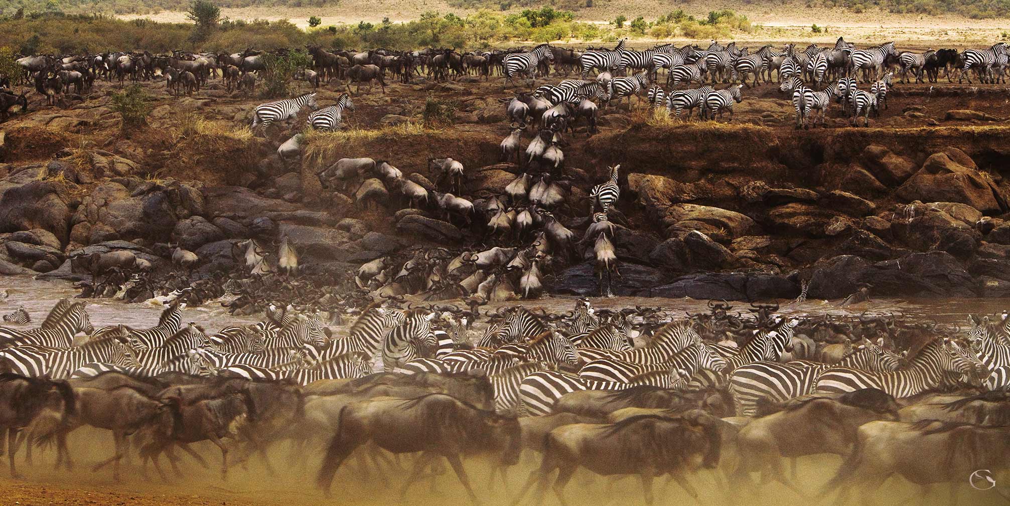 Great Migration Safari