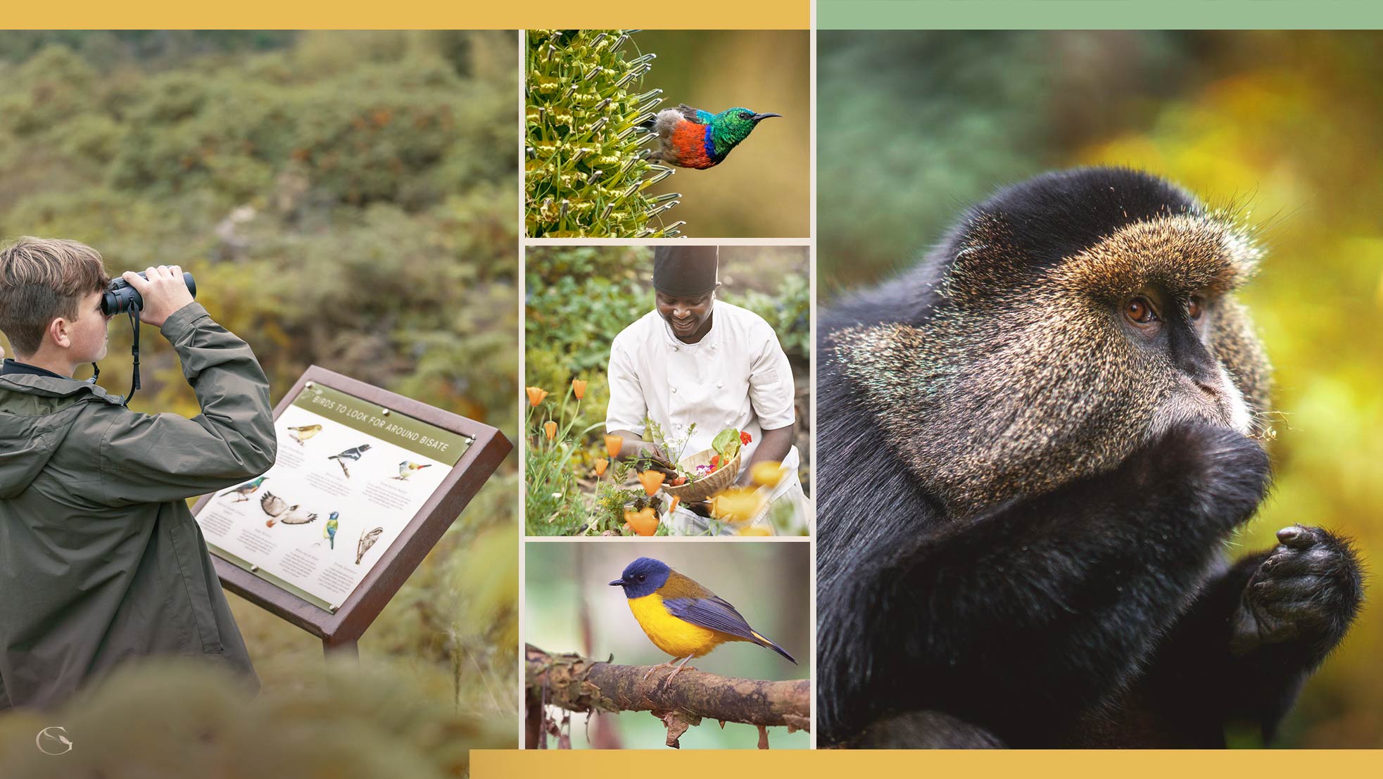 Gorilla Safari at Wilderness Bisate Reserve LuxurySafariLodges.com