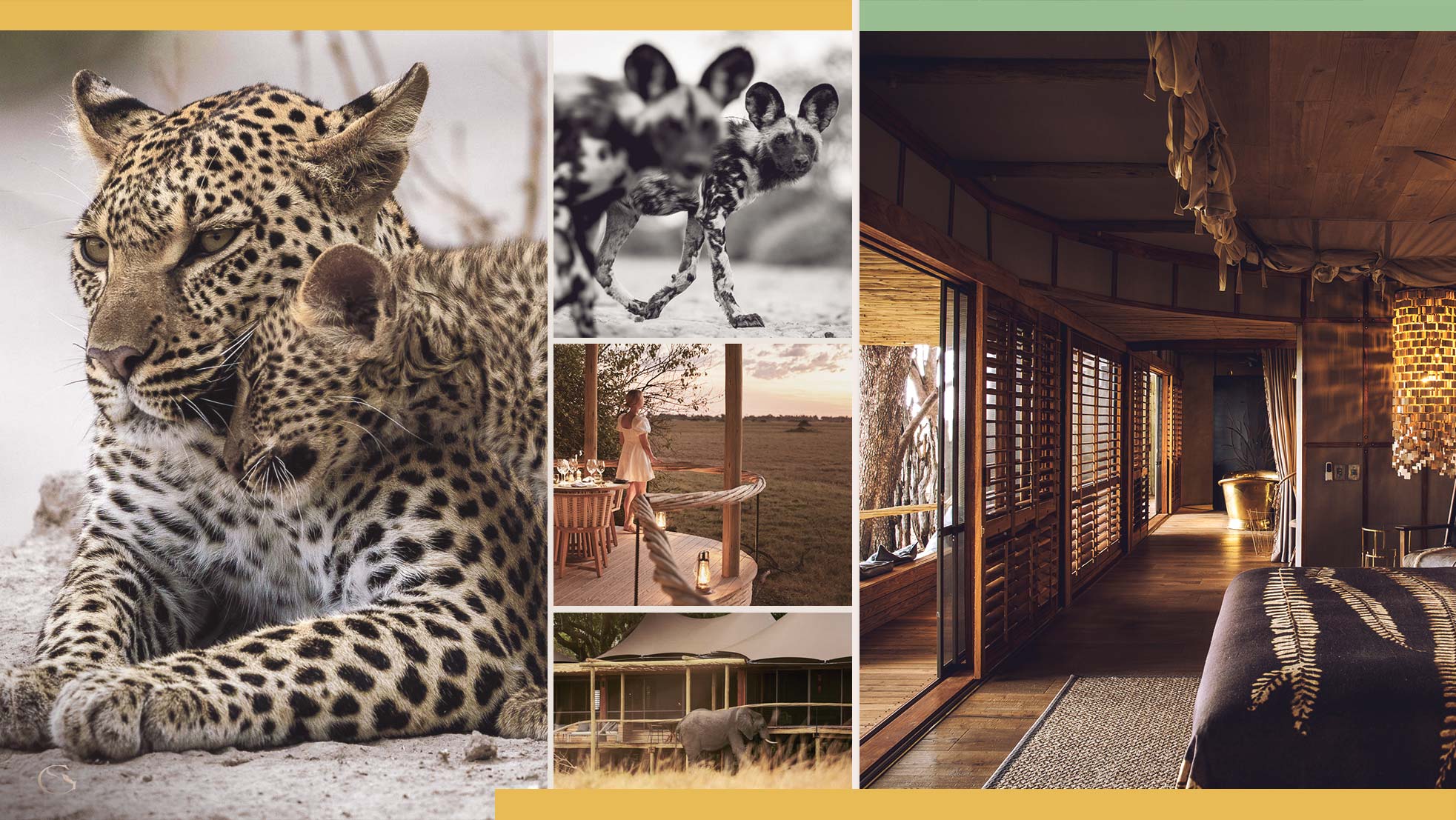 Mombo Safari Private Africa Luxury Safari Camps Guided Safaris® LuxurySafariLodges.com