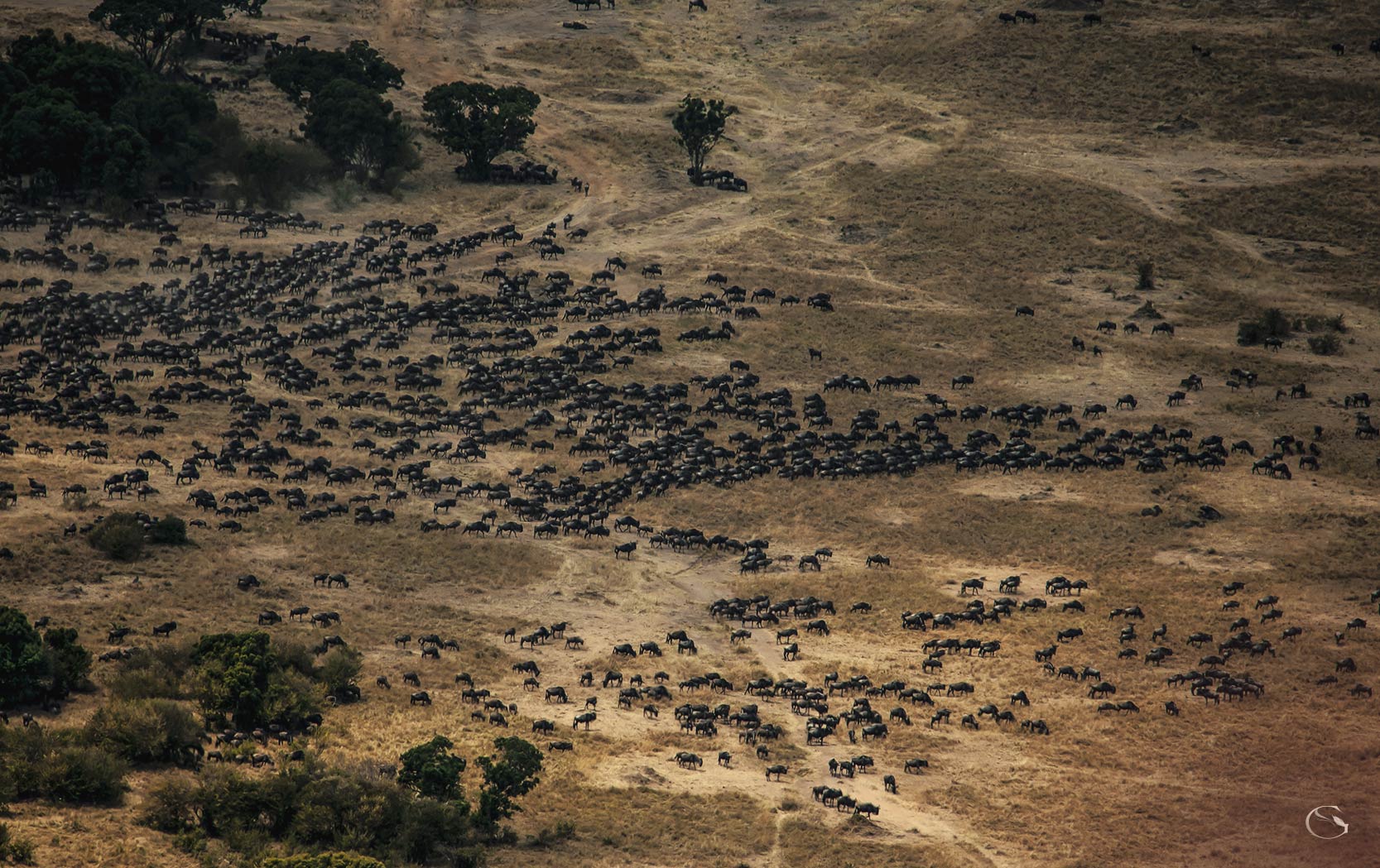 Private Africa Luxury Safari Lodges Guided Safaris® LuxurySafariLodges.com