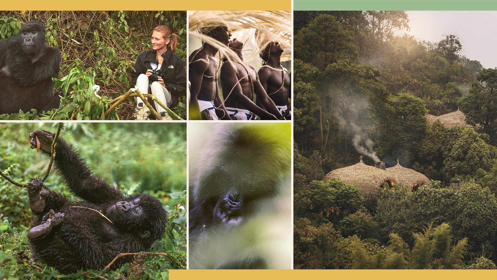 Gorilla Trekking