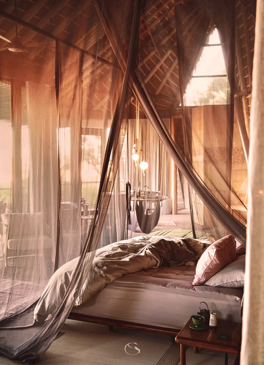 A Day on Safari — Desert + Delta Botswana