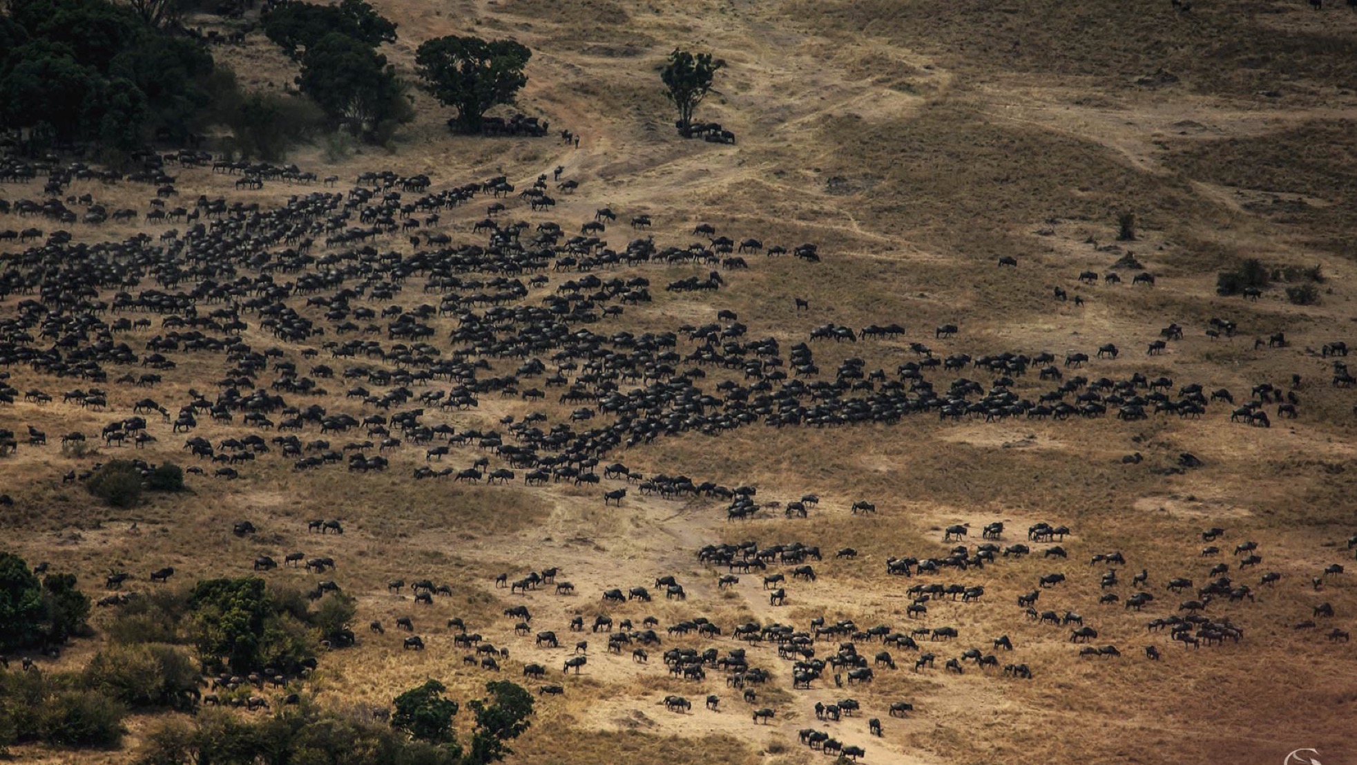 Greatest wildlife safari • Private Jet Africa Safari - Guided Safaris® LuxurySafariCamps.com
