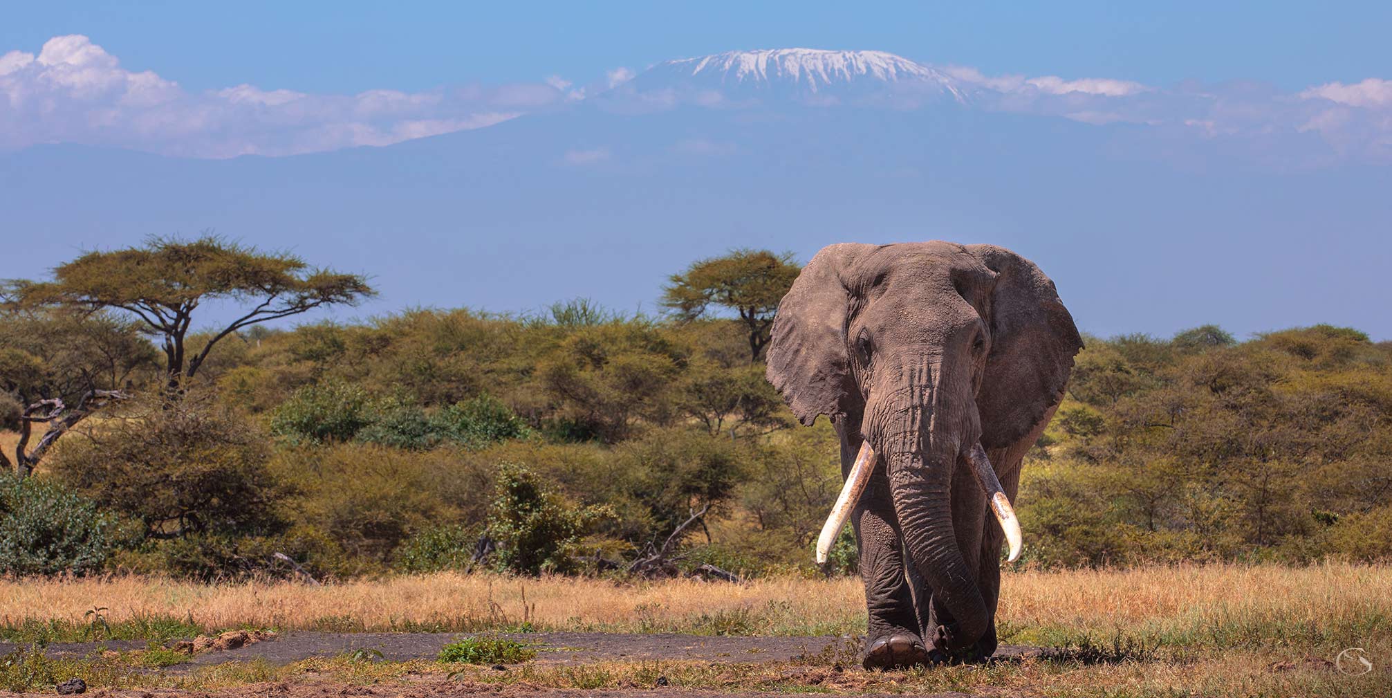 Private Kenya Luxury Safari - Guided Safaris® LuxurySafariCamps.com