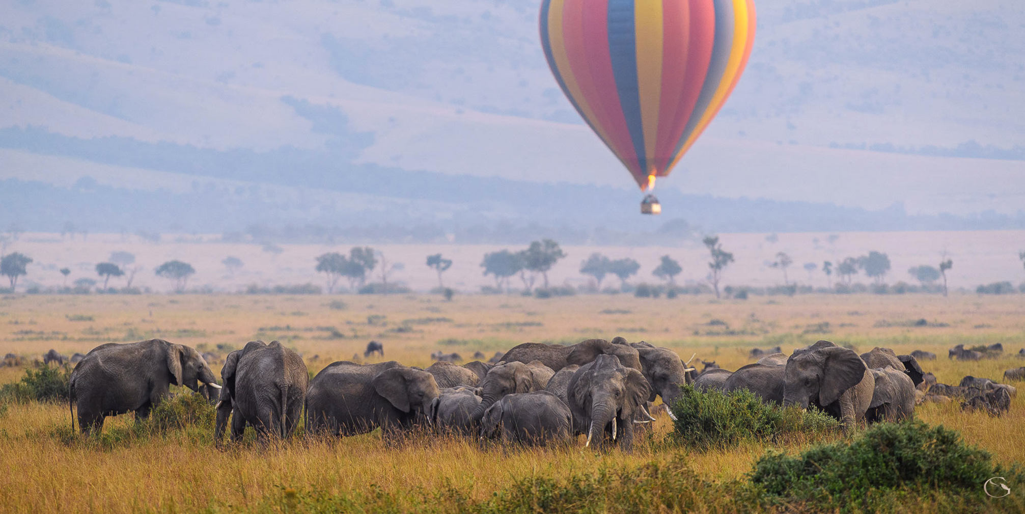Hot Air Balloon Safari - Guided Safaris® LuxurySafariCamps.com